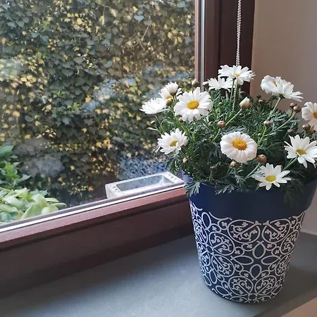 Orio Cosy Corner_ Smart Living In Lejlighed